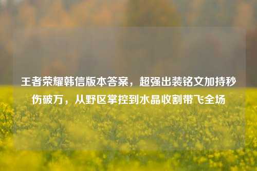 王者荣耀韩信版本答案，超强出装铭文加持秒伤破万，从野区掌控到水晶收割带飞全场