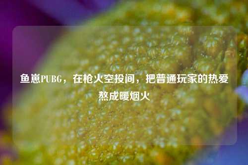 鱼崽PUBG，在枪火空投间，把普通玩家的热爱熬成暖烟火