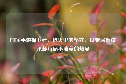 PUBG手游捍卫者，枪火里的坚守，以专属键位承载每局不潦草的热爱