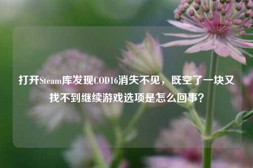 打开Steam库发现COD16消失不见，既空了一块又找不到继续游戏选项是怎么回事？