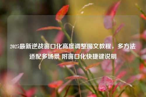 2025最新逆战窗口化高度调整图文教程，多方法适配多场景 附窗口化快捷键说明