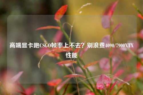 高端显卡跑CSGO帧率上不去？别浪费4090/7900XTX性能