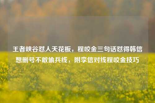 王者峡谷怼人天花板，程咬金三句话怼得韩信想删号不敢偷兵线，附李信对线程咬金技巧