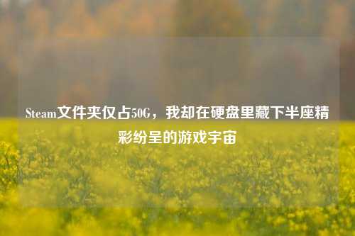 Steam文件夹仅占50G，我却在硬盘里藏下半座精彩纷呈的游戏宇宙